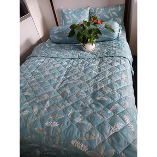 Bộ Drap 4 Món Ga Gối - 1m/m2/m4/m6/m8