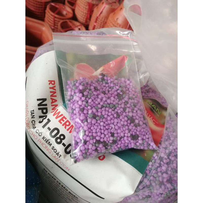Phân thông minh cho sen đa xương rồng hoa cây cảnh màu tím Rynan 100g