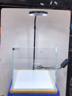 ĐÈN LED ĐẾ GỖ