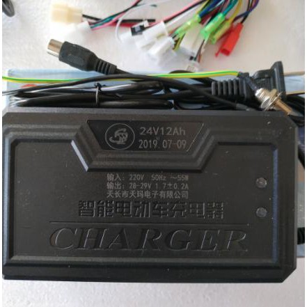 Hãng SA.NY.O Bộ kit chế xe đạp thường thành xe đạp điện lắp bánh trước NAMHP