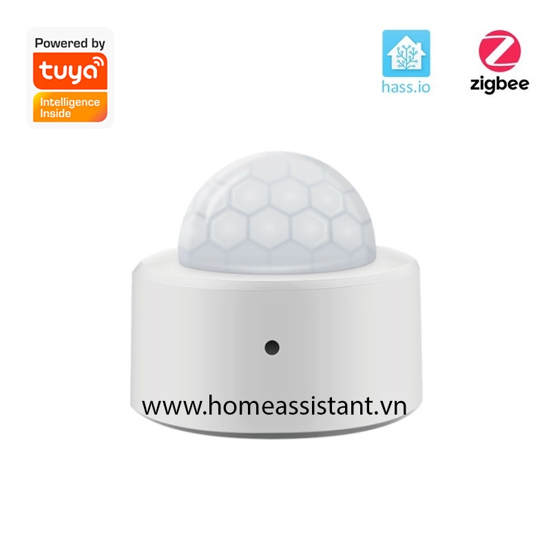 Cảm Biến Chuyển Động Hồng Ngoại Zigbee Tuya ZER02  Zigbee2MQTT ZHA Hass