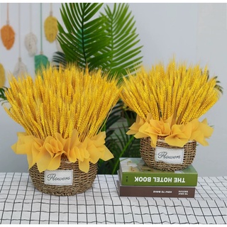 Bó lúa mạch khô 100 nhánh,bó hoa lúa mạch cắm bình trang trí decor siêu đẹp NTXSS101