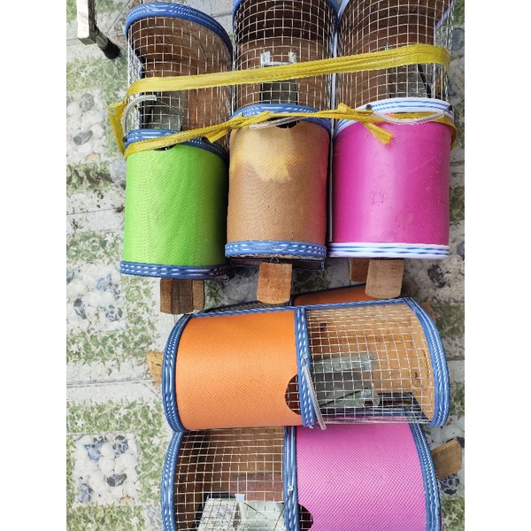 BẪY CHUỘT THÔNG MINH