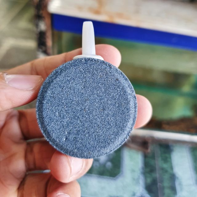 SỦI DĨA OXY HỒ CÁ NON BỘ ĐƯỜNG KÍNH 4CM