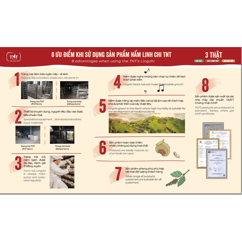 Nấm linh chi thái lát - 500gr | BigBuy360 - bigbuy360.vn