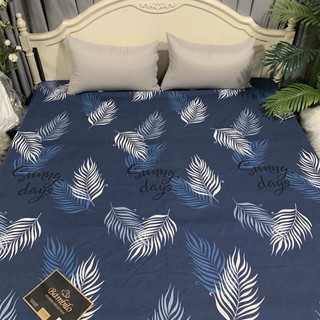 Ga chống thấm Cotton Babiloo HL bedding drap chống thấm chính hãng không nóng bí