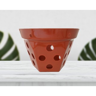 Bộ 25 Chậu Nhựa Trồng Lan Giả Đất Nung Cao Cấp 18x12.5cm - Dày Dặn, Bền Đẹp (Hàng VNXK)