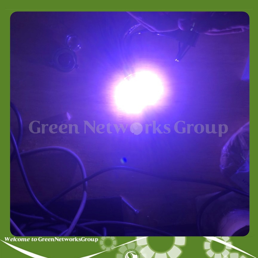 Đèn led râu H4 sáng 5 chế độ (Trắng - Vàng -Xanh Dương - Tím - Chớp đủ màu) Greennetworks ( 1 Đèn )