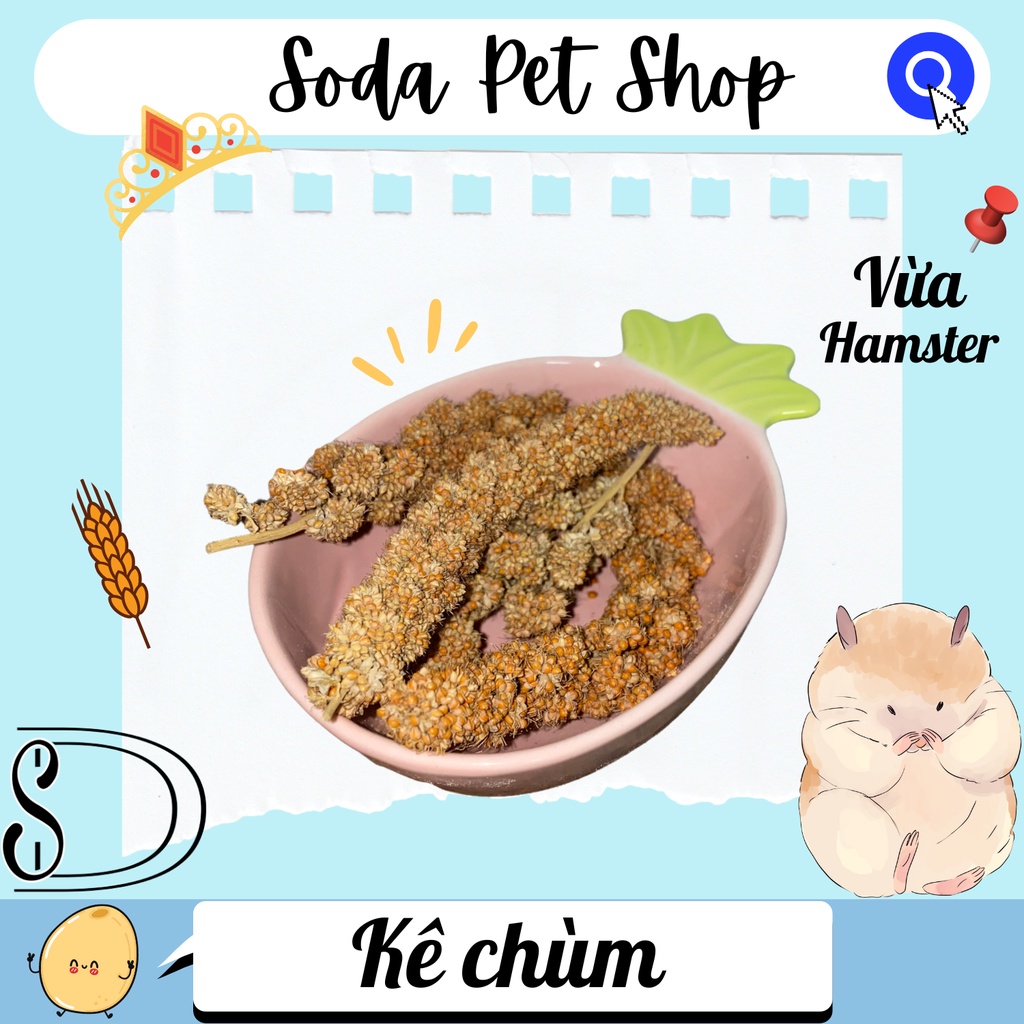 Kê Chùm Cho Hamster/Thú Nhỏ