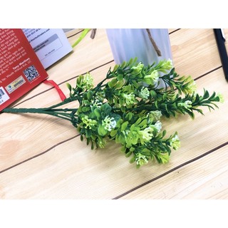 🍀 Lá Điểm Cành Ngâu Decor