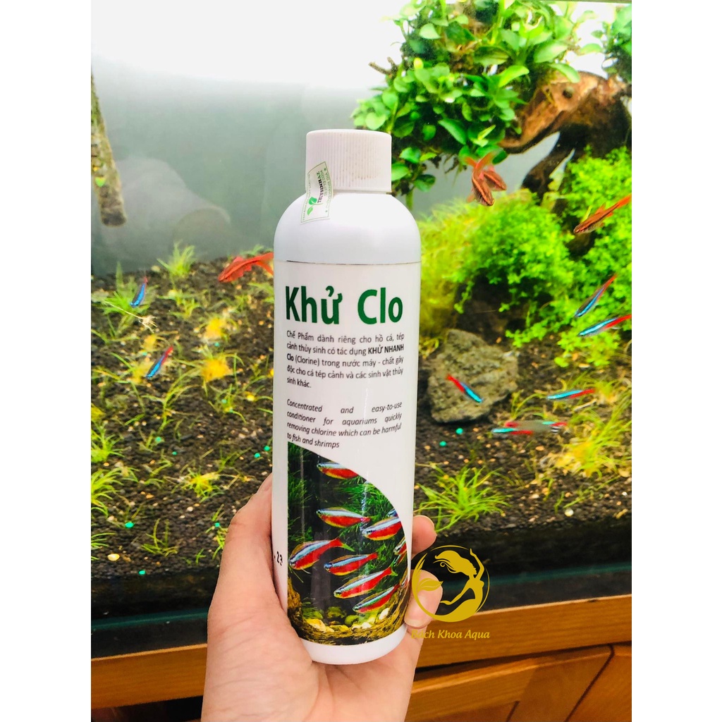 Dung dịch khử Clo cho hồ cá thủy sinh