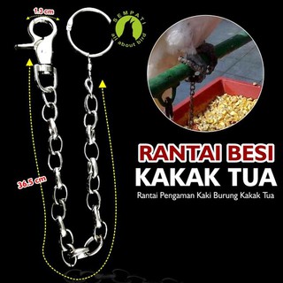 Dây Xích Sắt Treo Lồng Chim / Vẹt