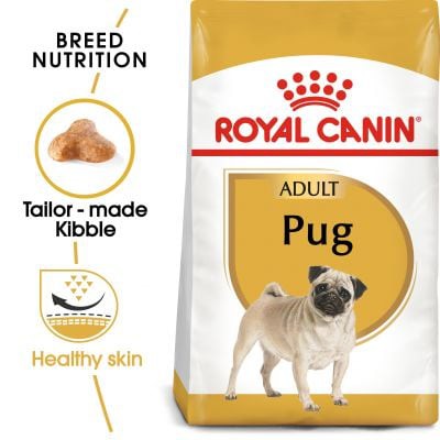 Thức ăn hạt cho chó Pug lớn, chó trưởng thành 500g - Royal Canin Pug Adult 500g - Hoshi Pet