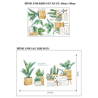 Decal dán tường chậu cây hộp