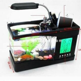 Bể cá cảnh phong thủy mini để bàn