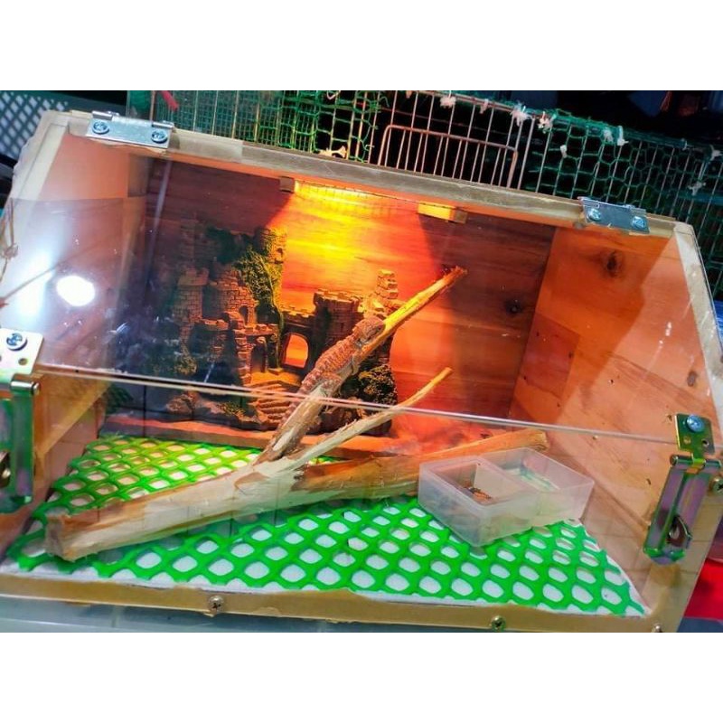 Chuồng nuôi bò sát gỗ ghép và mica KB8 D36-R26-C20cm