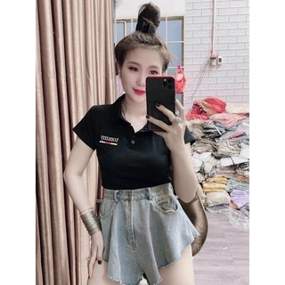 [FREESHIP- KHO SỈ RẺ ] Áo cổ bẻ dior 💥 áo cổ trụ chất borip
