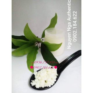 Nấm Kefir (5p tự làm Sữa Chua tại nhà)