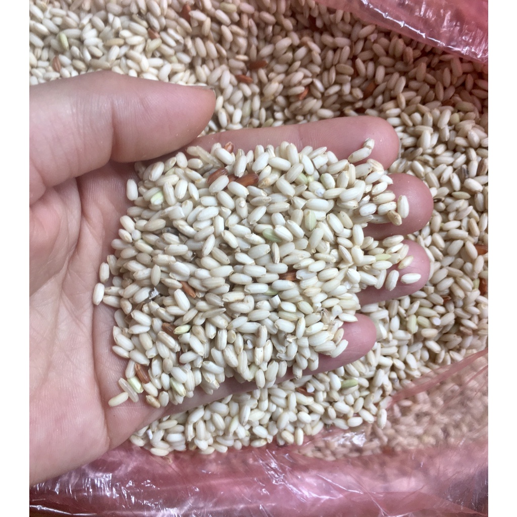 Gạo nếp lứt nguyên cám loại ngon dùng làm cơm rượu 9 Lạng/1 túi