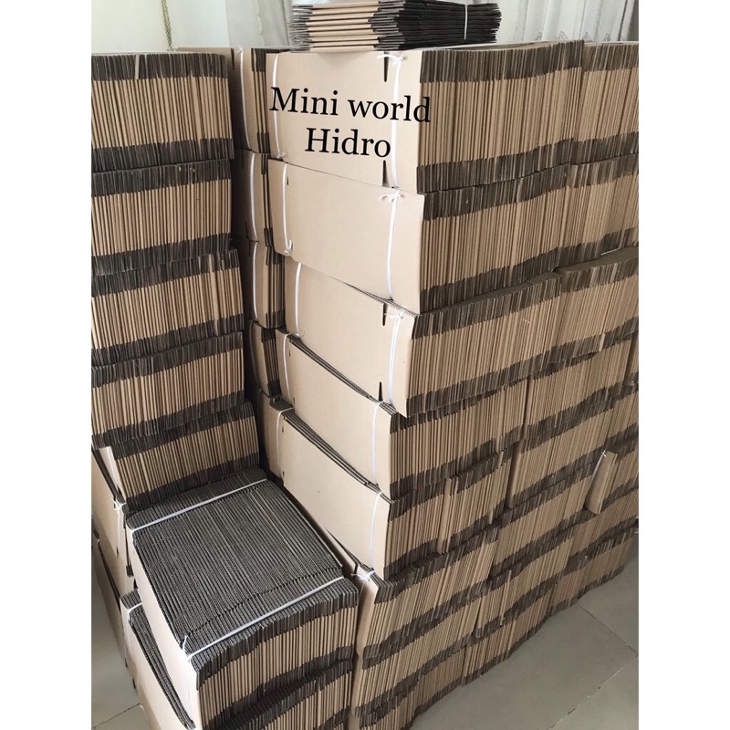 [set 10cái] Hộp Carton  kích thước 30x20x10cm. Hộp giấy gói hàng. Hộp đóng hàng. Hộp ship hàng.