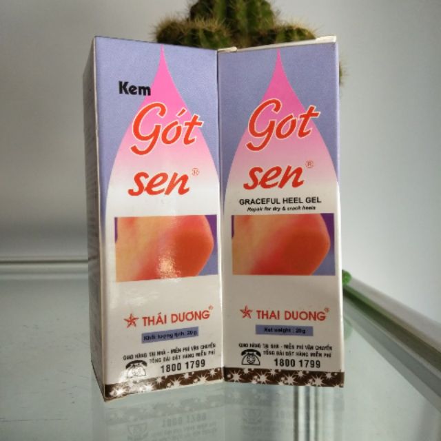 Kem GOT SEN