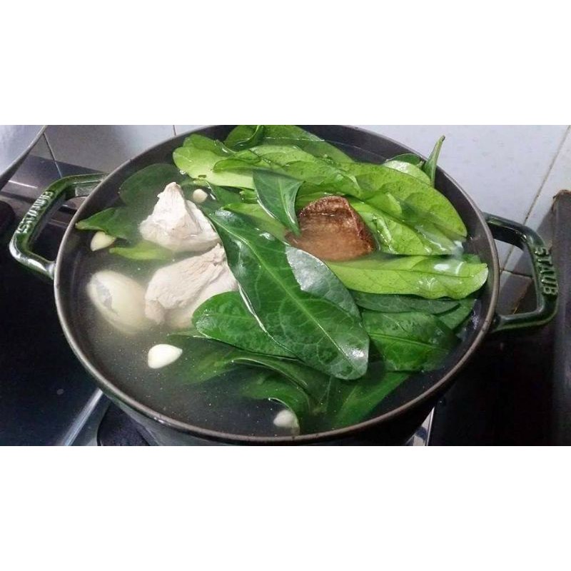 Cây Lưỡi Nhân