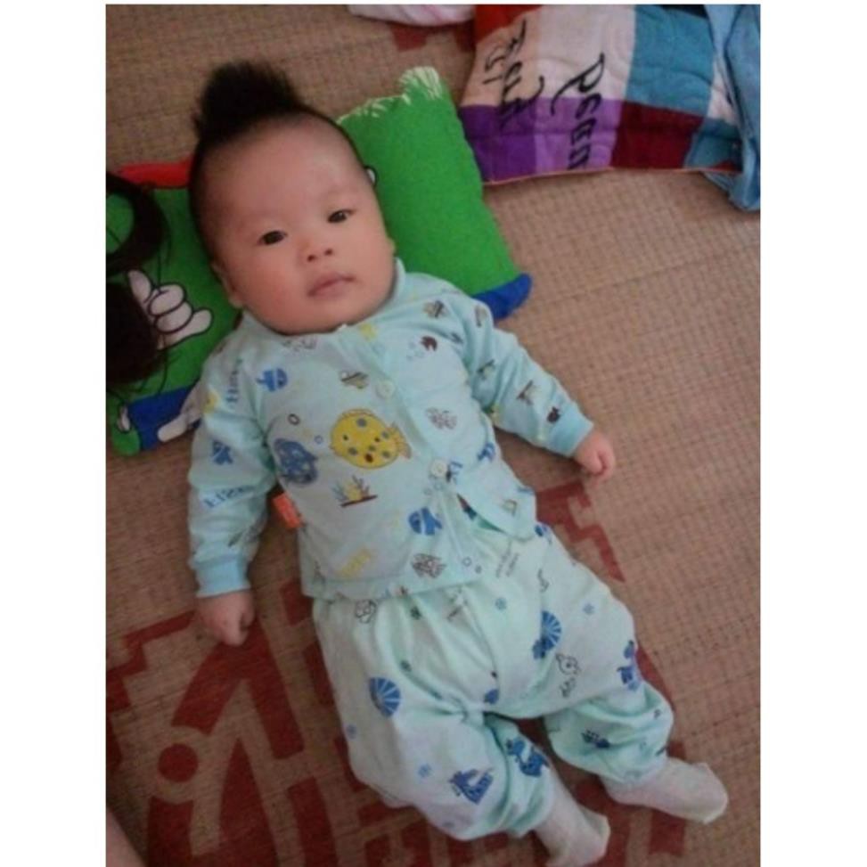 Gối ĐINH LĂNG CAO CẤP cho bé