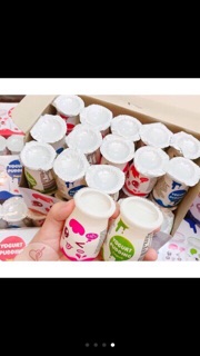 Thạch sữa chua yogurt pudding (lốc 30 lọ)
