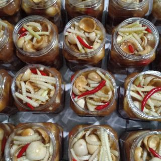Cà dầm tứ vị