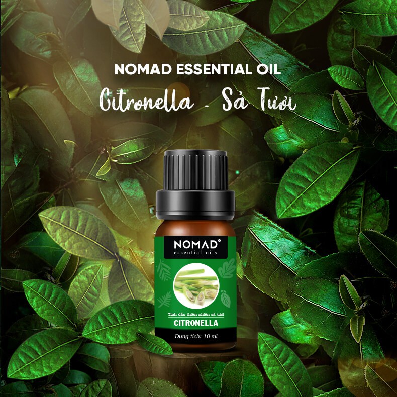 Combo 3 Tinh Dầu Nomad Thư Giãn: Relax 10ml + Wild Gooseberry 10ml + Madonna Lily 10ml