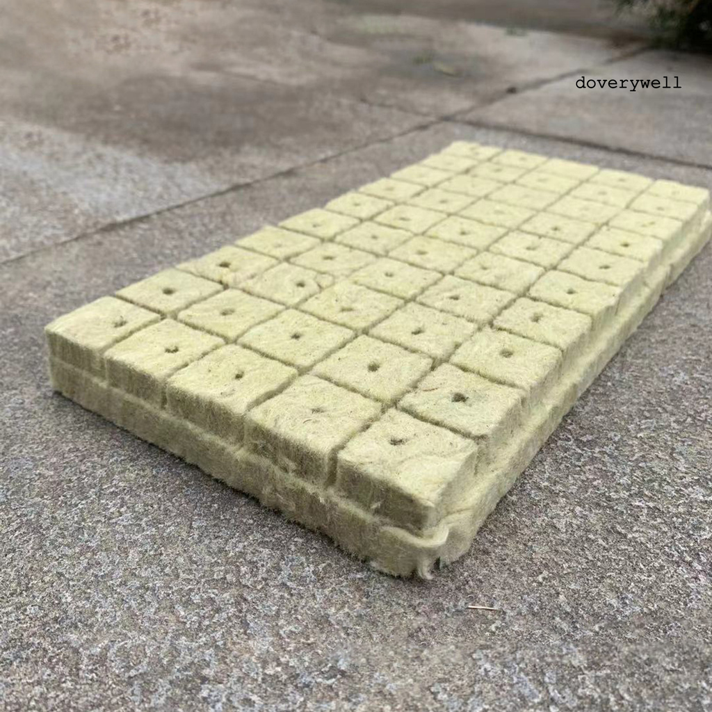 50 Khối Lập Phương Kích Thích Sự Phát Triển Của Thực Vật