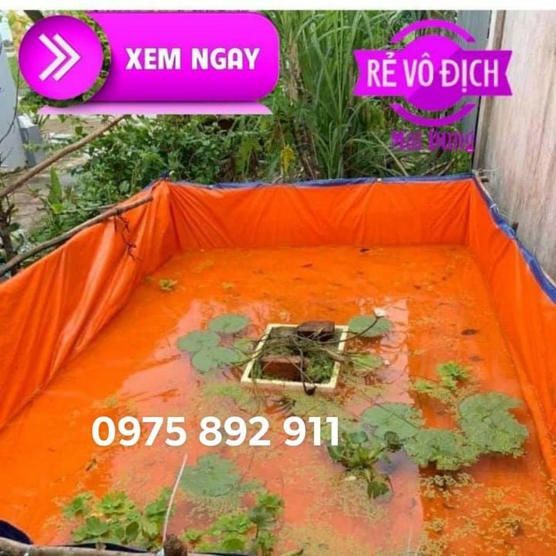 bể bạt nuôi ốc , ếch , cá lươn - loại TRUNG GIÁ XƯỞNG