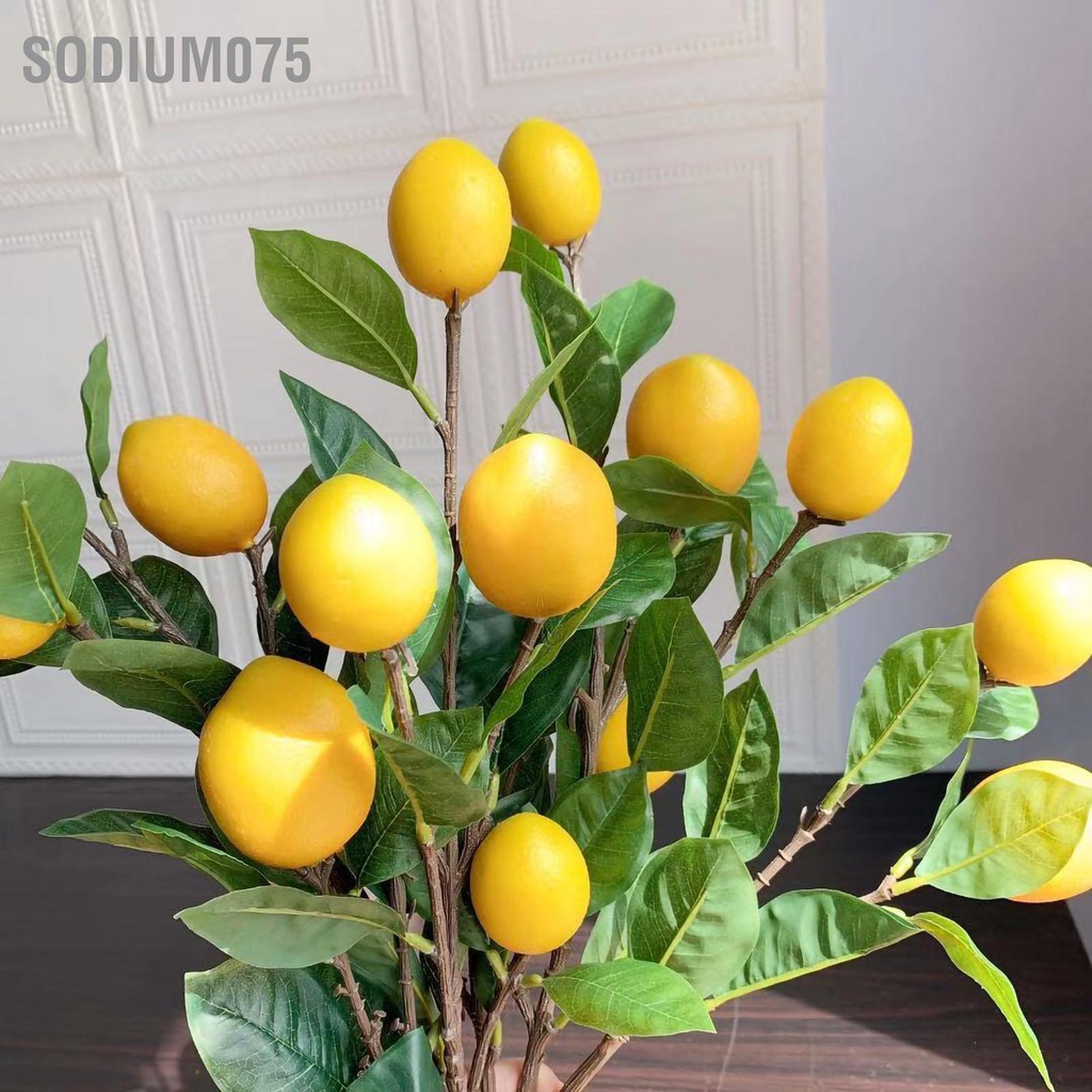 Có thể bán buôn Cành chanh nhân tạo vàng 65cm dài Lá cây xanh cho phòng khách Trang trí mô hình Sodium075 Hàng giao ngay