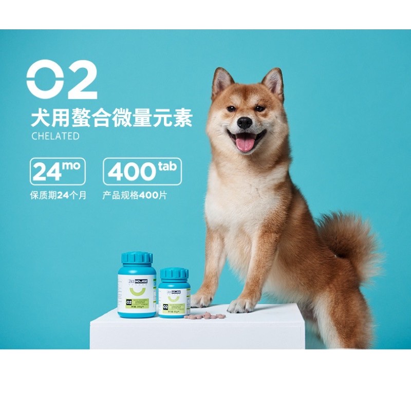 Vitamin cho chó Nourse 02 Vi lượng và sắt cho chó bầu chó thiếu chất Surica VN02 (160v)