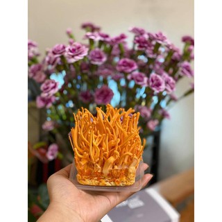 Đông Trùng Hạ Thảo Khô 10gram