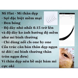 MI FLAT ( NGỌN ĐÔI ) (0.15)