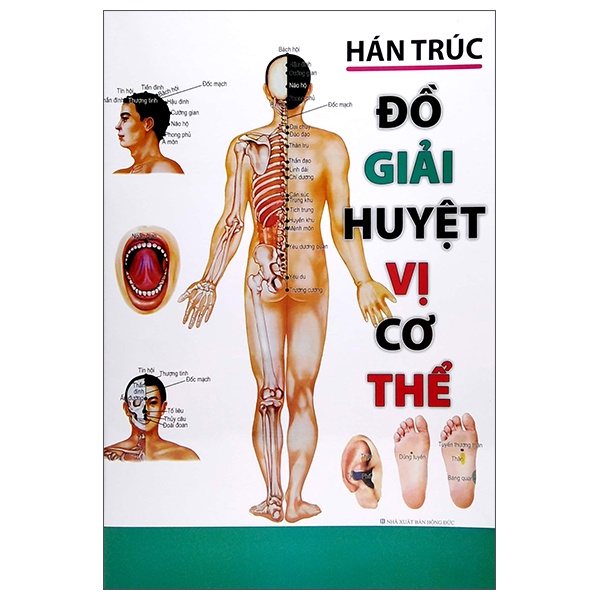Sách Đồ Giải Huyệt Vị Cơ Thể
