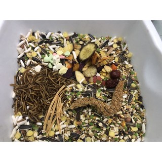 Thức ăn đặc biệt hamster