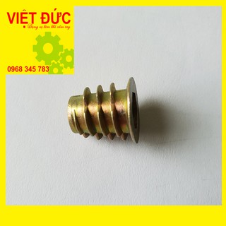 Túi ốc cấy gỗ phi 8 - 100 con