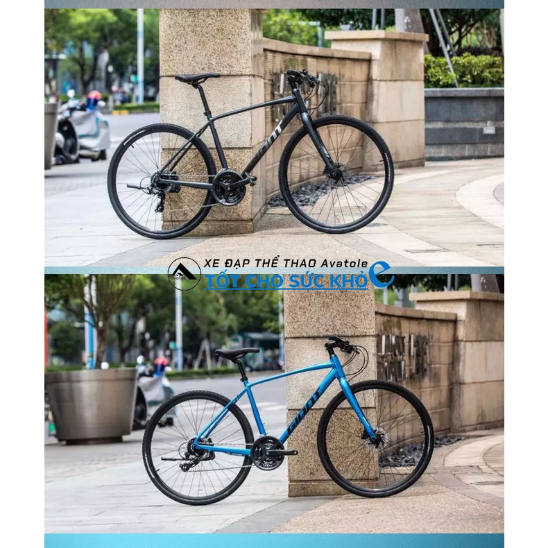 Xe đạp đường trường Giant Escape 1 Disc Asia 2020, Hợp kim nhôm ALUXX 6061, Bộ group Shimano Tourney, Màu xám đen