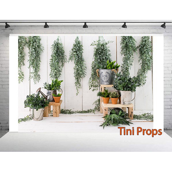 Tranh Canvas 1m5x2m - Phông chụp hình Baby MS29