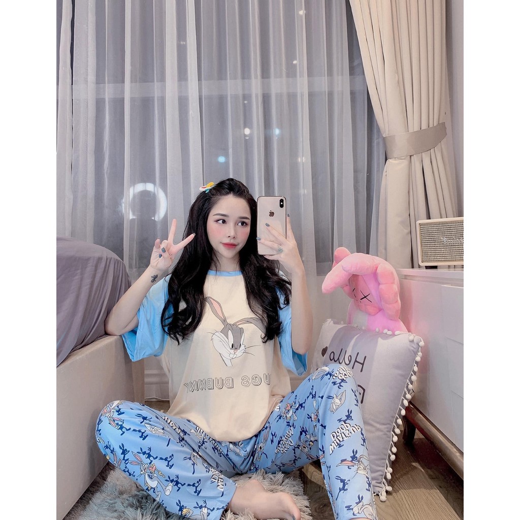 Đồ Bộ Pijama - Bộ ngủ hoạ tiết Cao cấp [FREE SHIP] [Ảnh thật+Video] | BigBuy360 - bigbuy360.vn