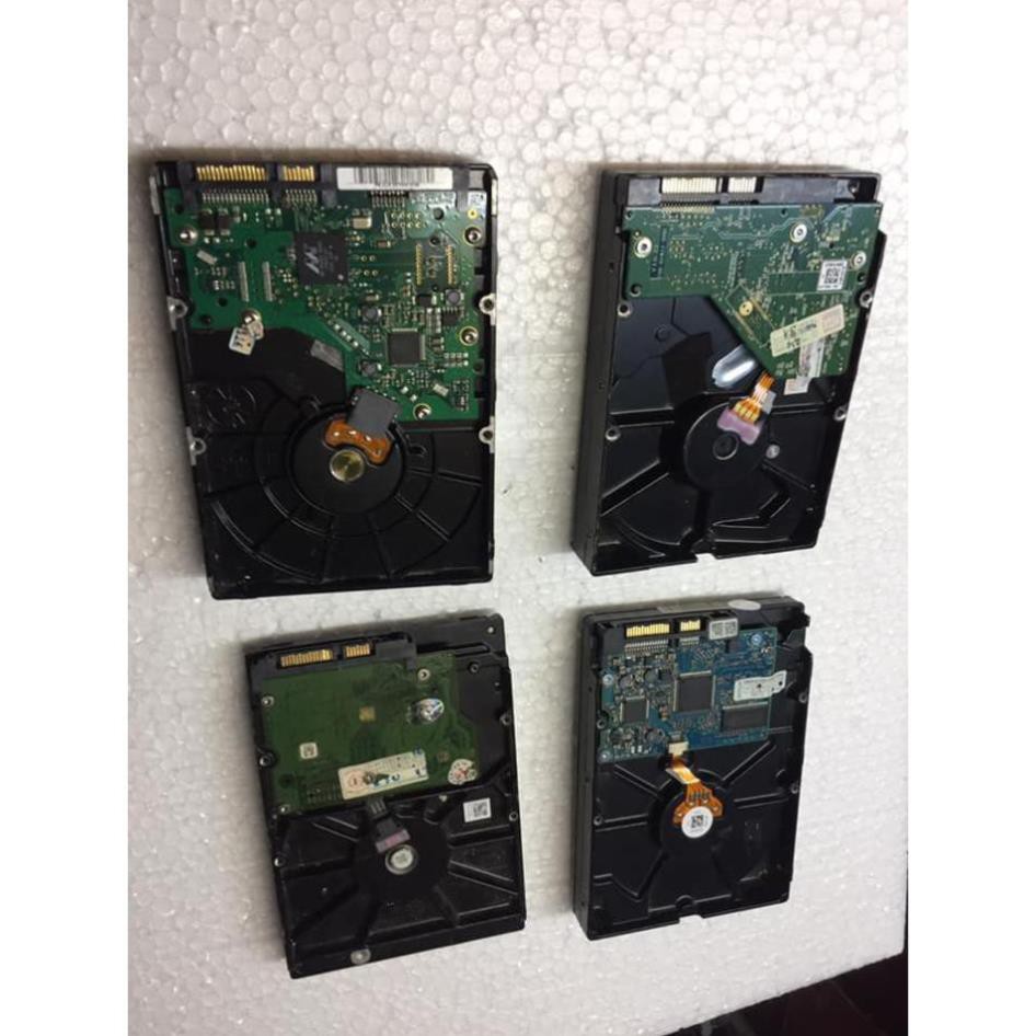 Ổ Cứng HDD Máy tính PC chuẩn SATA 250Gb | BigBuy360 - bigbuy360.vn