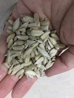 NHÂN HẠT HƯỚNG DƯƠNG, 300gr