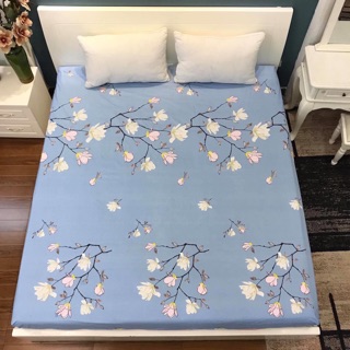 Ga chống thấm cotton 2 in 1