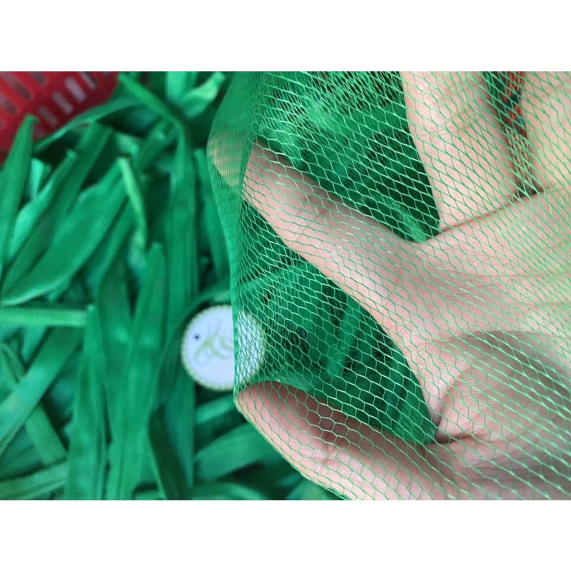 1kg Túi lưới nhựa màu xanh đủ size đựng trái cây, hành tỏi, phân bón…