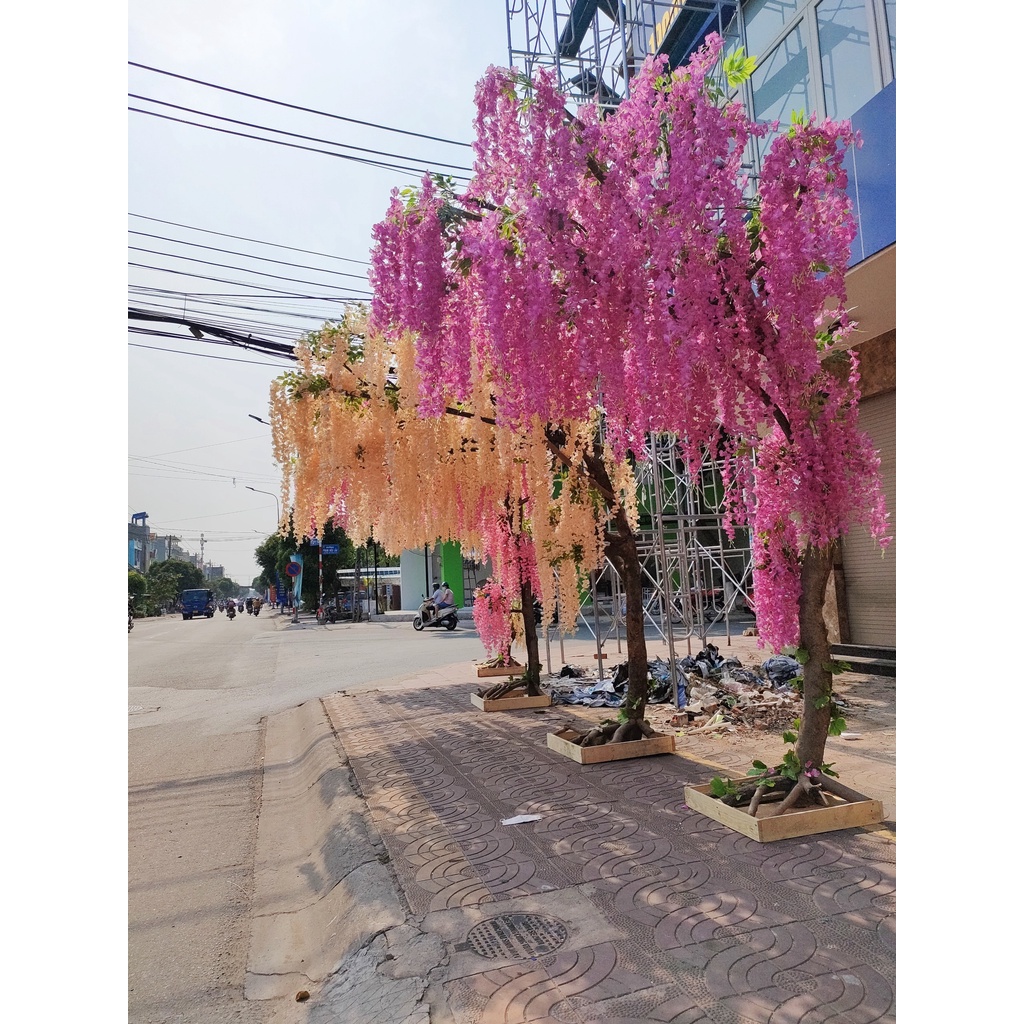 Cây hoa tử đằng giả nhiều màu nhiều kích thước thân gỗ tốt trang trí phòng khách, văn phòng, nhà hàng sự kiện