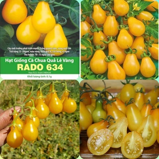 Hạt giống cà chua bi quả lê vàng rất sai quả, dễ trồng hơn 30 hạt