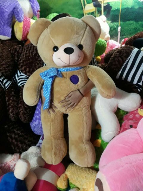 Gấu Bông Teddy đeo nơ khổ 1m