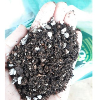 Đất trồng sen đá, xương rồng trộn sẵn đẩy đủ dinh dưỡng, thoát nước cực tốt Soil Mix